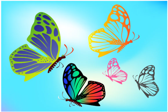 Abstract Colorful and Butterfly Graphics