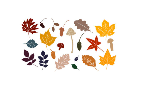 Colorful Autumn Leaves Bundle SVG