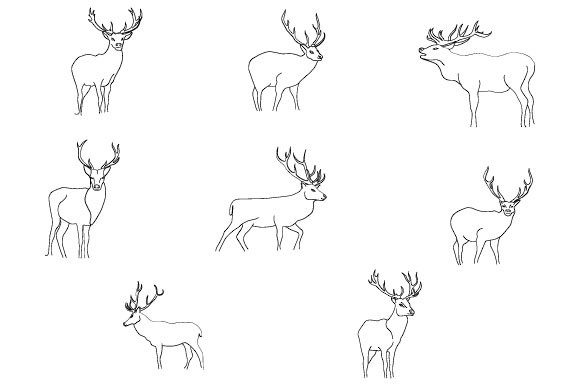 Deer Line Art Abstract Boho Graphics & Illustrations
