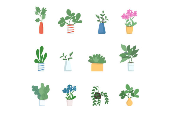 Houseplants Flat Color Vector Objects